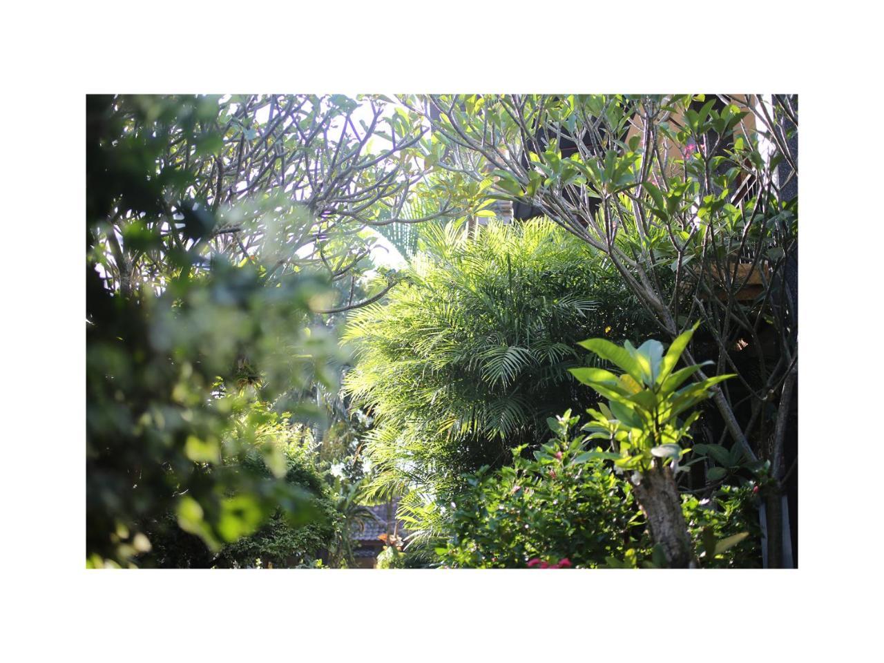 In Da Garden Διαμέρισμα Ουμπούντ Εξωτερικό φωτογραφία
